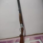 دولول چیفسان