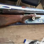 دولول سارسیلماز