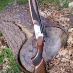 خرید اسلحه دولول