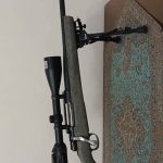 تفنگ شکاری کالیبر270