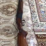 جفت لول روهم سوار بایکال روس