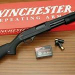 خرید وینچستر