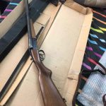 نخجیر دولول